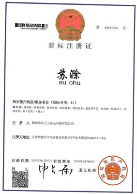 苏滁31类